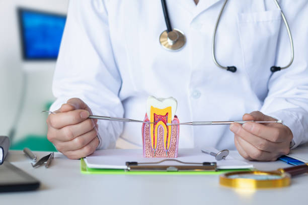 Best Knocked-Out Tooth Emergency  in Soh Ogden, UT